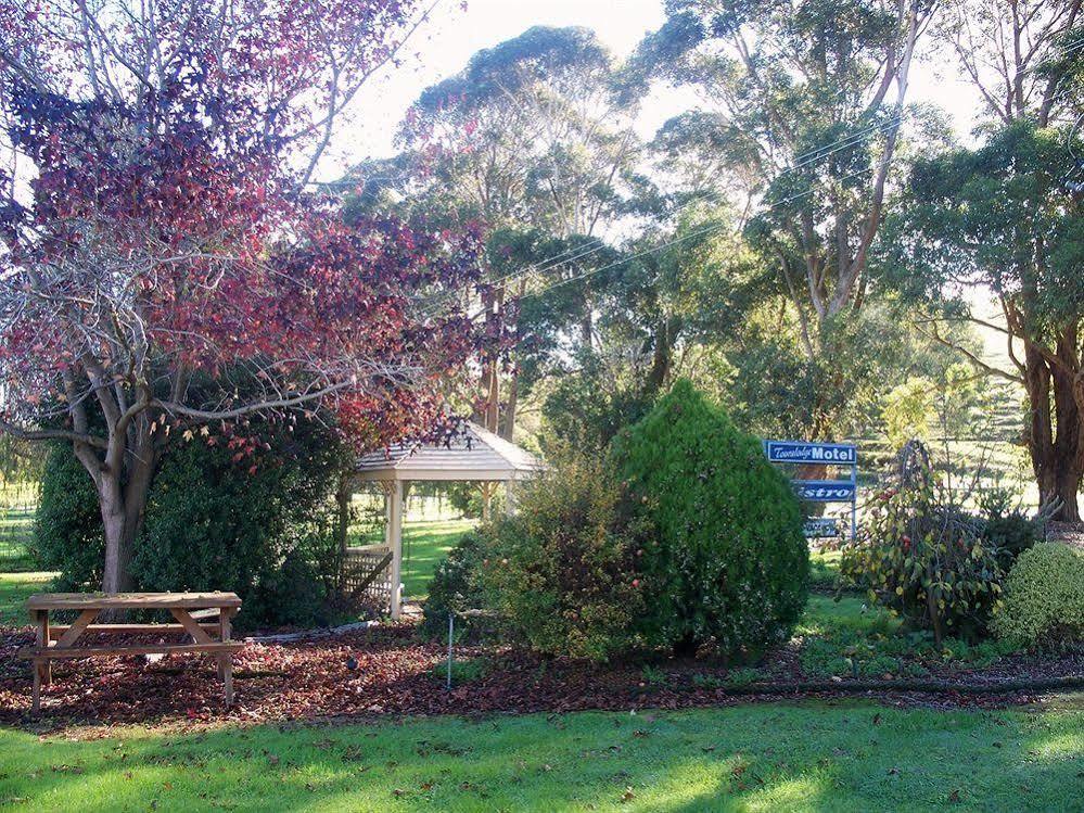 Toora Lodge Motel Buitenkant foto